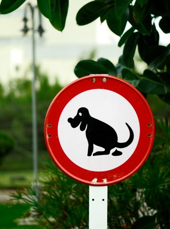 Prohibido hacer necesidades. (El Saler, agosto 2009)