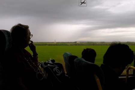 Campos de arroz.