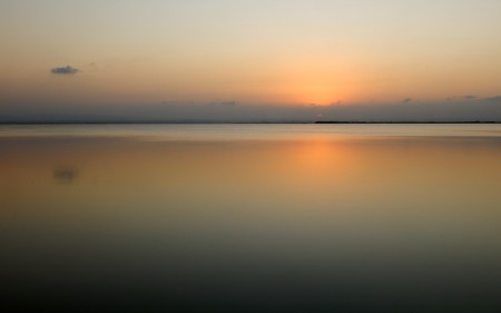 L'Albufera L'Albufera. Agosto 2011