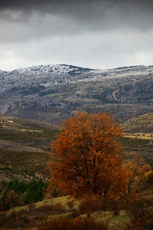 Alto Tajo, El Banderín nevado (noviembre 2009)