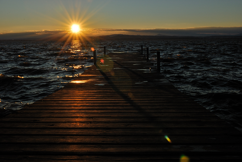 L'Albufera enero 2011