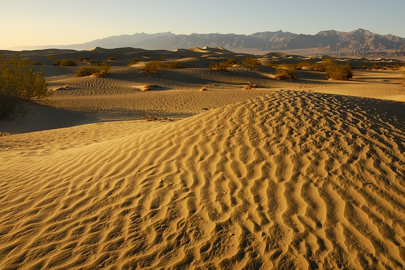 Mesquite Dunes. Death Valley junio 2012