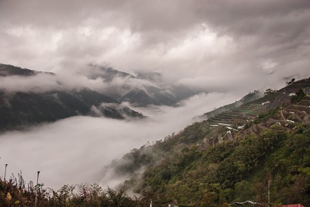 Terrazas de Té. Taiwan Febrero 2014