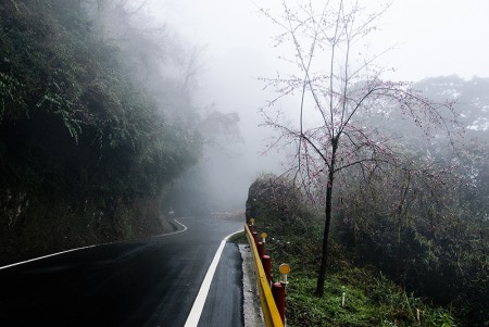 En las nubes. Taiwan febrero 2014