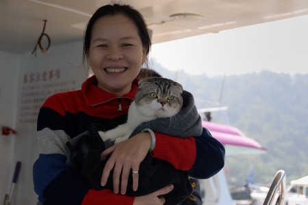 La señora del gato, Taiwan febrero 2014