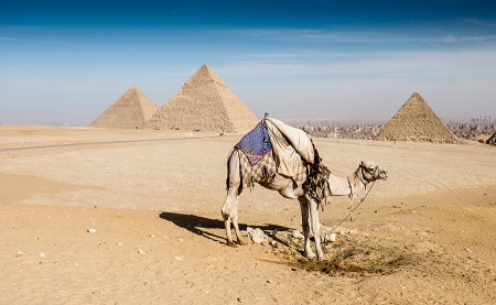 Pirámides de Giza, enero 2015