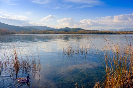 Lago de Banyoles, marzo 2016