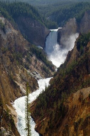 Cañón de Yellowstone, junio 2016