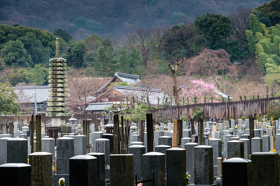 Cementerio, Arashiyama abril 2017