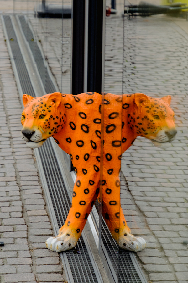 Leopardo y Pardoleo en Copenhague, octubre 2017
