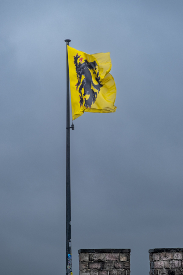Bandera de Flandes, enero 2022