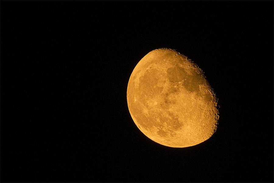Luna, L'Albufera, agosto 2022