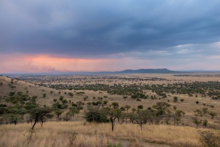 Fin de día, Serengeti, Tanzania, julio 2023
