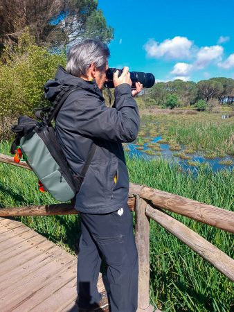 En La Rocina, Huelva, foto por Navburis