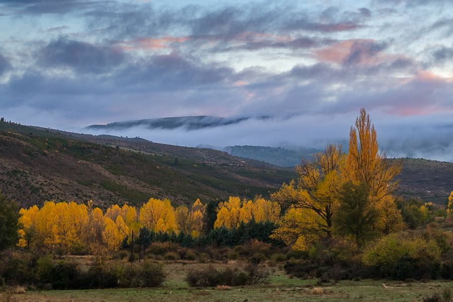 Otoño Alto Tajo, noviembre 2024