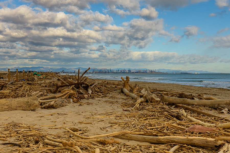 Playa de la Garrofera, diciembre de 2024