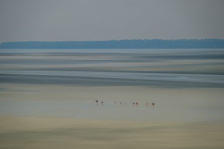 Bahía del Monte Saint-Michel, junio 2024