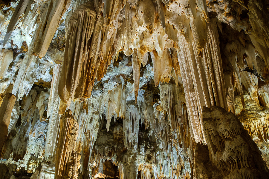 Cuevas del Águila, febrero 2025