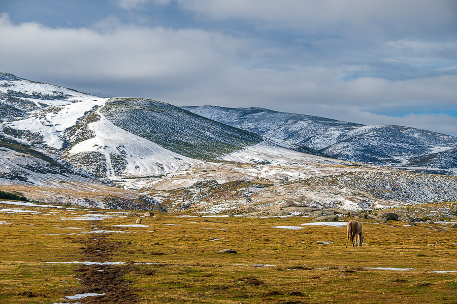 Gredos, febrero 2025