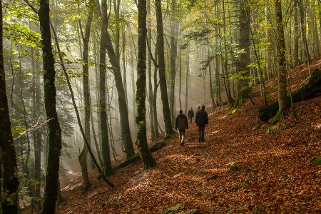 Senda a Irabia, Irati, octubre 2025