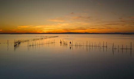 Calma artificial, L'Albufera, diciembre 2025