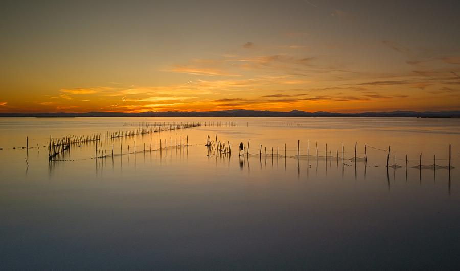 Calma artificial, L'Albufera, diciembre 2025