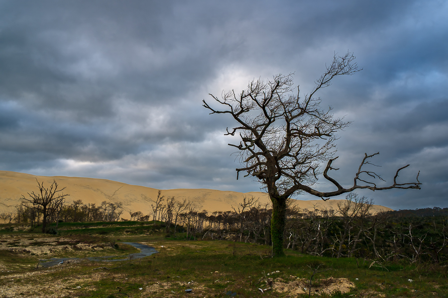 Duna de Pilat, Arcachon, abril 2026
