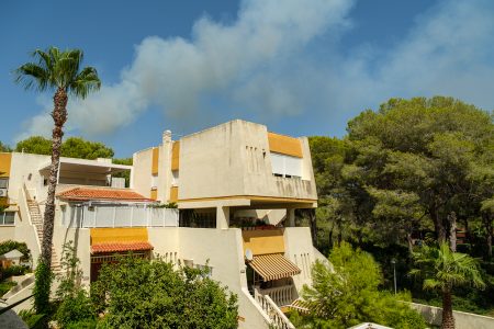 Incendio, Devesa de El Saler, agosto de 2026